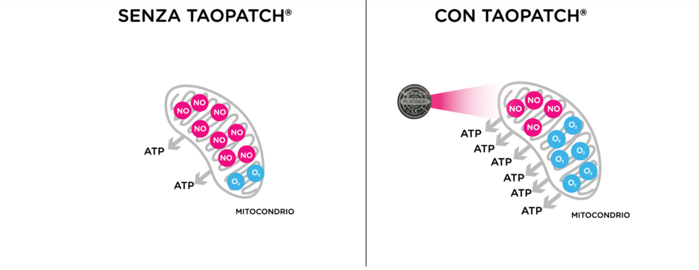 ATP Mitocondri Taopatch®
